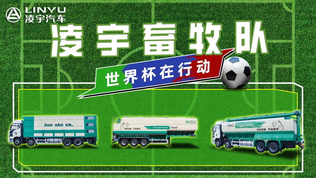 奪冠世界杯！你注意到這支球隊了嗎？